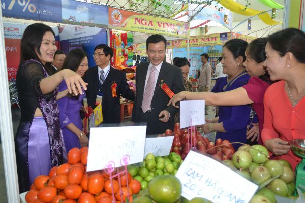 khai-mac-hoi-cho-hang-viet-da-nang-15-1-2015 05